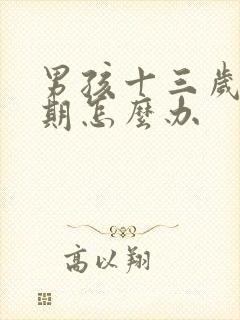 男孩十三岁叛逆期怎么办