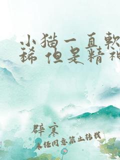 小猫一直软便拉稀 但是精神很好