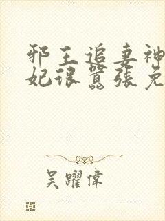 邪王追妻神医狂妃很嚣张免费