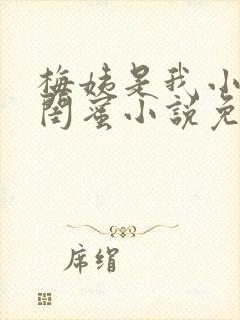 梅姨是我小妈的闺蜜小说免费阅读