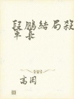 段鹏结局杀王副军长