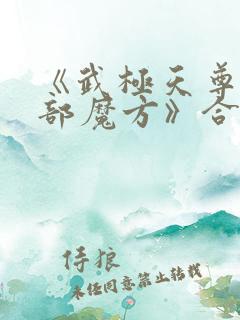 《武极天尊第三部魔方》合集