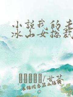 小说我的老婆是冰山女总裁
