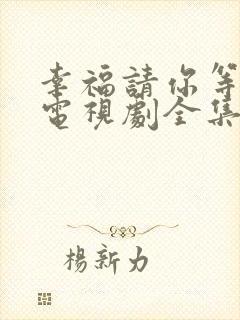 幸福请你等等我电视剧全集免费观看26集