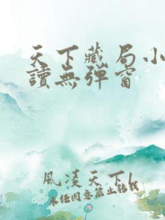 天下藏局小说阅读无弹窗
