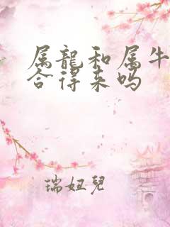 属龙和属牛的人合得来吗