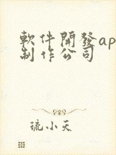 软件开发app制作公司