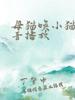 母猫唤小猫的声音播放
