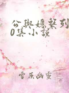 公与媳系列100集小说