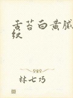 舌苔白黄腻有裂纹