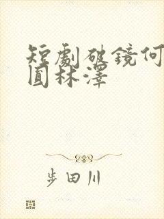 短剧破镜何必重圆林泽