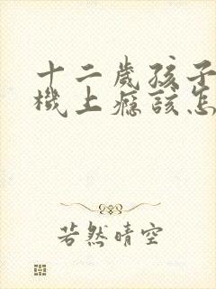 十二岁孩子玩手机上瘾该怎么办