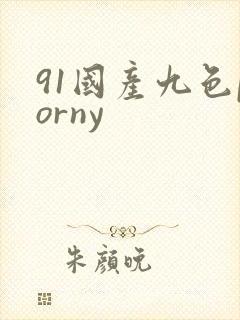 91国产九色porny