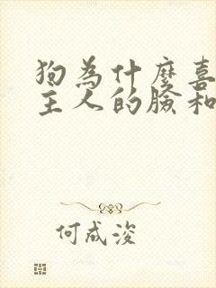 狗为什么喜欢舔主人的脸和嘴唇呢