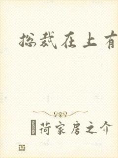 总裁在上有声书
