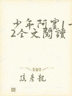少年阿宾1一72全文阅读
