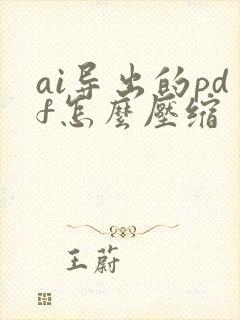 ai导出的pdf怎么压缩