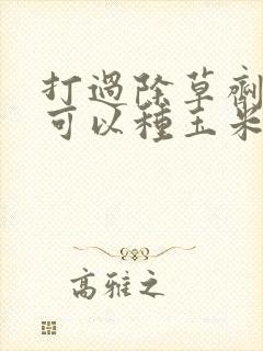 打过除草剂的地可以种玉米吗