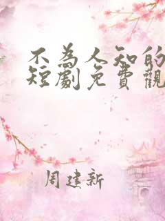 不为人知的往事短剧免费观看全集高清