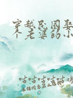 穿越民国娶了7个老婆的小说