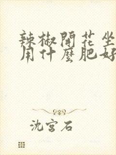 辣椒开花坐果期用什么肥好