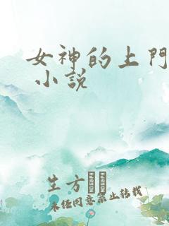 女神的上门贵婿 小说
