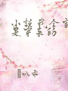 小说 我全家都是穿来的