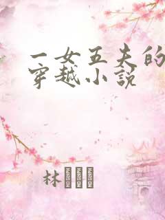 一女五夫的小说穿越小说