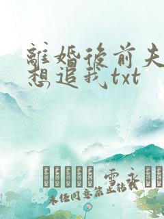 离婚后前夫总是想追我txt