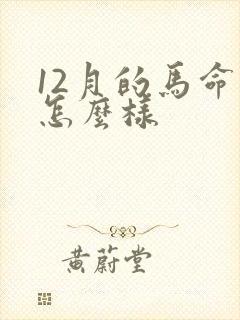12月的马命运怎么样