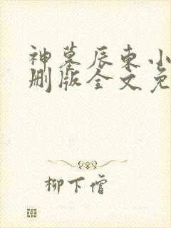 神墓辰东小说未删版全文免费阅读