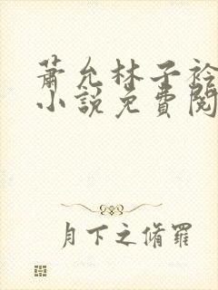 萧允林子衿穿越小说免费阅读无弹窗