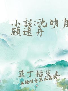 小说:沈明月,顾远舟