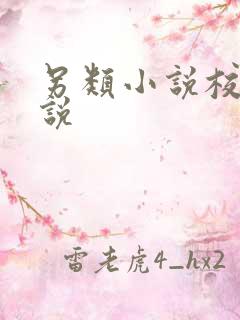 另类小说校园小说