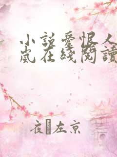 小说爱恨人间雅岚在线阅读