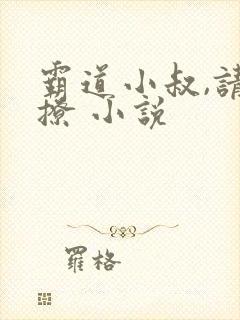 霸道小叔,请轻撩 小说