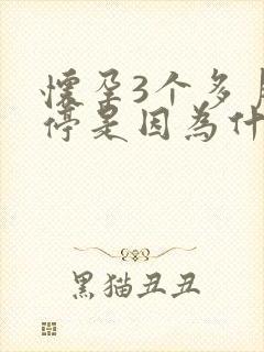 怀孕3个多月胎停是因为什么原因