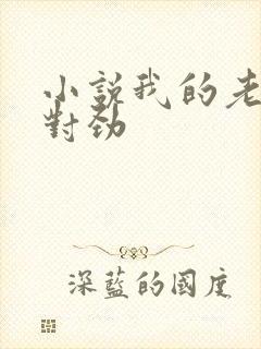 小说我的老婆不对劲