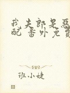 我夫郎是恶毒男配 番外免费阅读