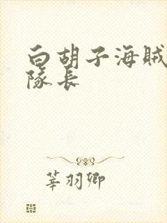 白胡子海贼团四队长
