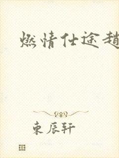 燃情仕途赵德三