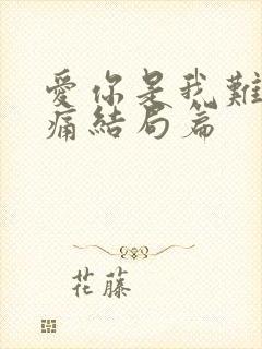 爱你是我难言的痛结局篇