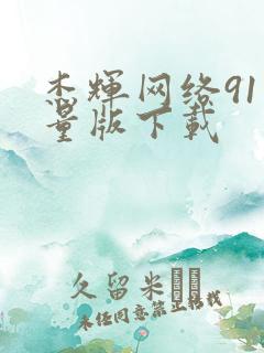 杰辉网络91轻量版下载