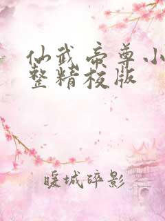 仙武帝尊小说完整精校版