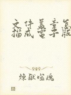 文件盖章怎么扫描成电子版