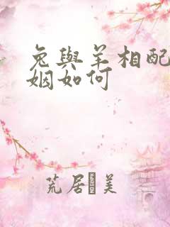 兔与羊相配的婚姻如何