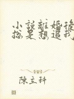 小说离婚后前夫总是想追我下载