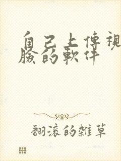 自己上传视频换脸的软件