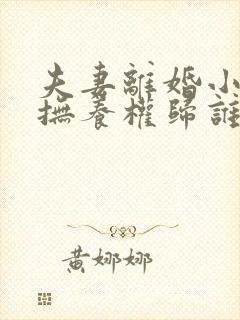 夫妻离婚小孩的抚养权归谁