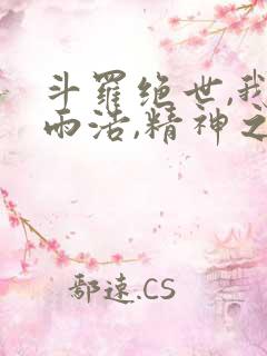 斗罗绝世,我霍雨浩,精神之主